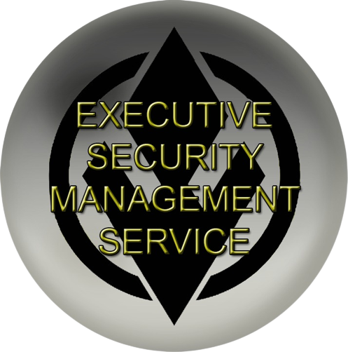 Exe srl – Security Management and business intelligence